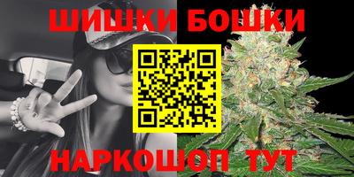 твердый Будённовск