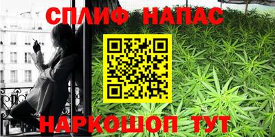 твердый Будённовск